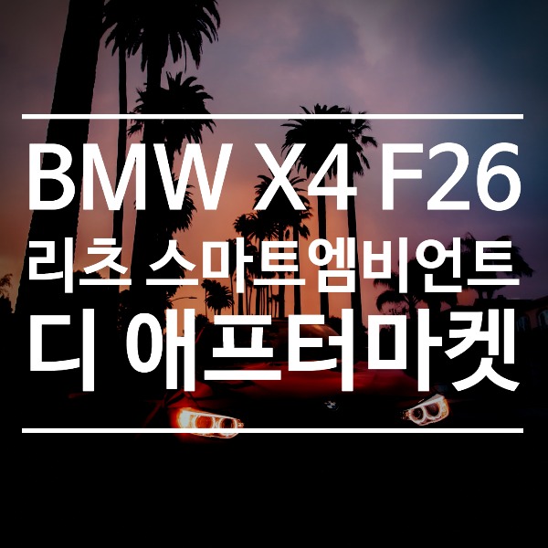 [체크아웃] BMW X4 F26 전용 리츠 스마트 엠비언트 라이트 시공