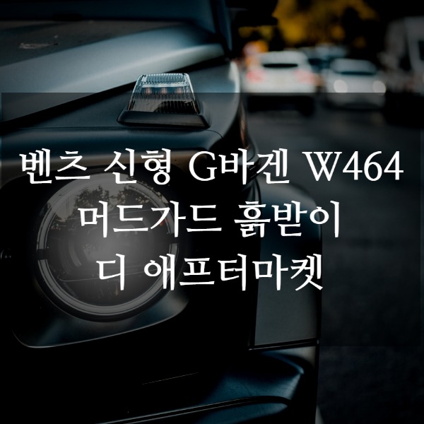 [체크아웃] 벤츠 신형 G바겐 지바겐 W464 전용 머드가드 G63